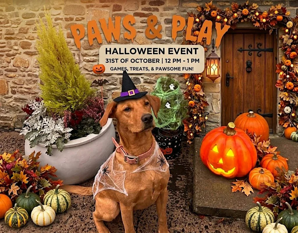 Halloween Paws & Play!