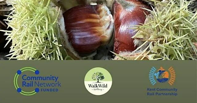 Cuxton & Ranscombe Circular Guided Walk & New Rail Trail Celebration at Cuxton Railway Station