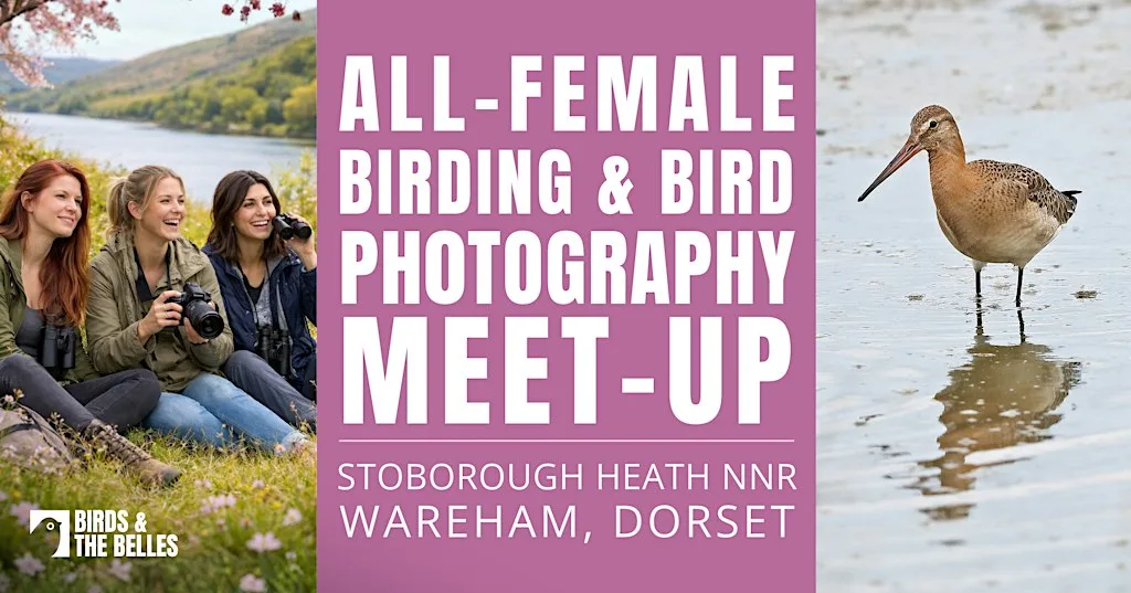 All-Female Birding & Bird Photography Morning at Stoborough Heath National Nature Reserve