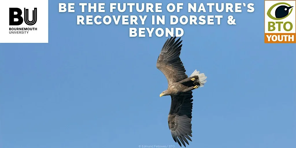 Be The Future of Nature's Recovery In Dorset & Beyond