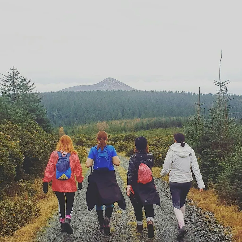 Revive Renew Crone Forest Tranquility Hike at Crone Forest Co. Wicklow