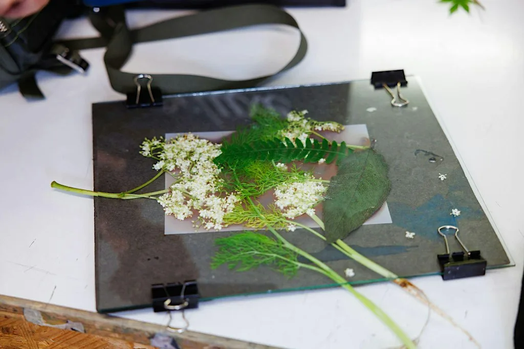 Eco Printing Workshop at Cork Printmakers