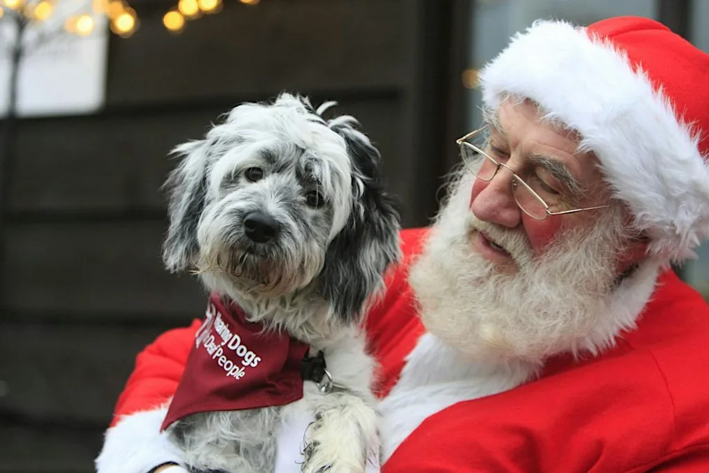 Santa's Grotto at The Grange. (Saturday) at Hearing Dogs for Deaf People.