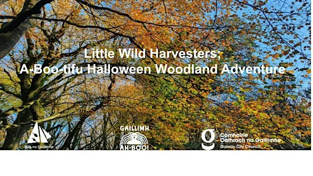 Little Wild Harvesters; A -boo-tiful Halloween Woodland Adventure at Barna Woods