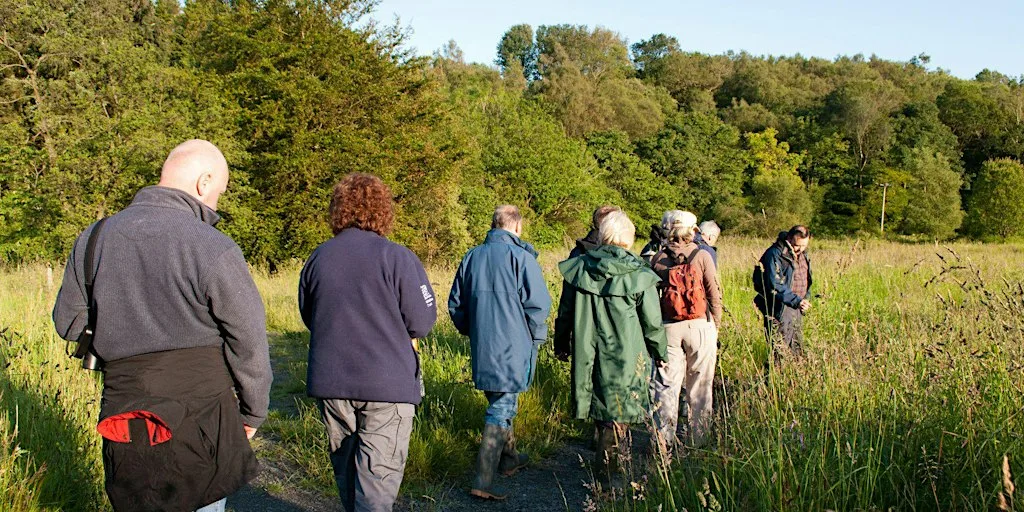Rainton Meadows: past, present and future showcase: guided walk