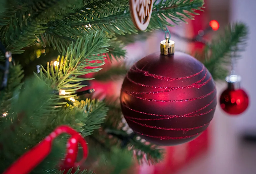 A Night Before Christmas (Evening Performance)