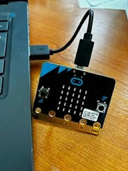 Introduction to Micro:bits (all ages) - 3pm