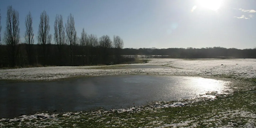 Wellbeing Walks at Ryton Pools Country Park