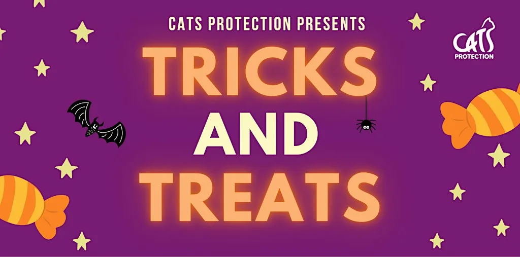 Tricks and Treats: Halloween Fun at The Mall Maidstone