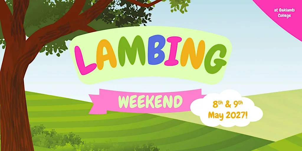 Lambing Weekend 2027 at Oaklands College St Albans