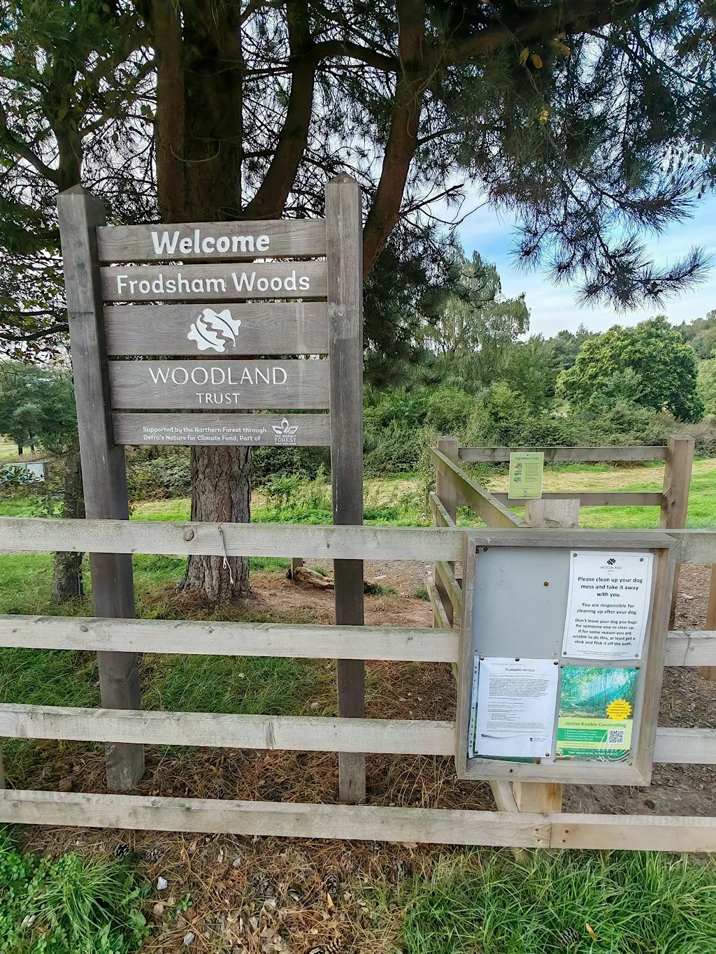 Wild Words: Nature connection and journaling