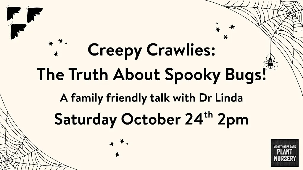️ Creepy Crawlies: The Truth About Spooky Bugs!