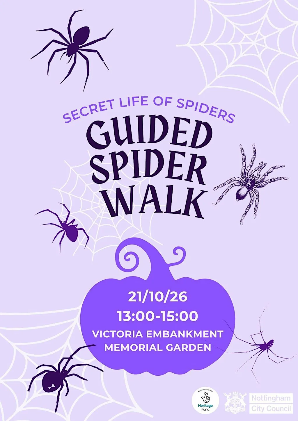 Secret Life of Spiders - Guided Walk
