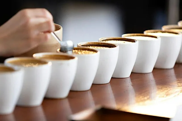 Macclesfield Coffee Festival: Cupping Session with PD Coffee & Atkinsons at Picturedrome Macclesfield