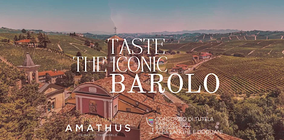 Barolo Wine & Food Experience | Amathus Westbourne Grove x Brasseria