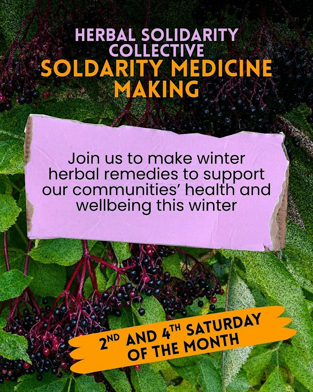 Herbal Solidarity Collective- Winter Herbal Mutual Air Medicine Making