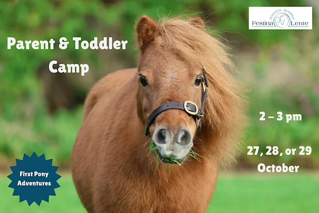 First Pony Adventures: Parent & Toddler Camp at Festina Lente Enterprises CLG