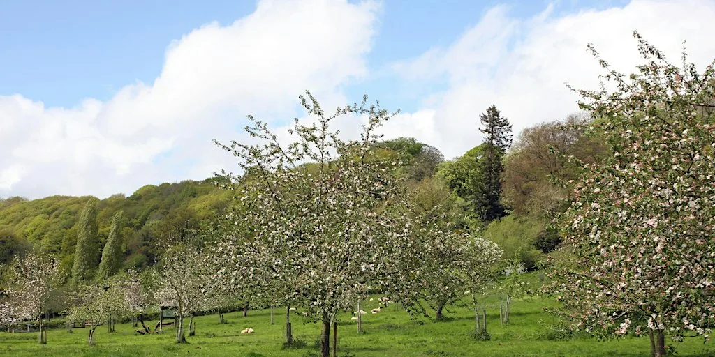 Nature Reserve Work Party - Bodenham - Tree Guards at Bodenham Lake