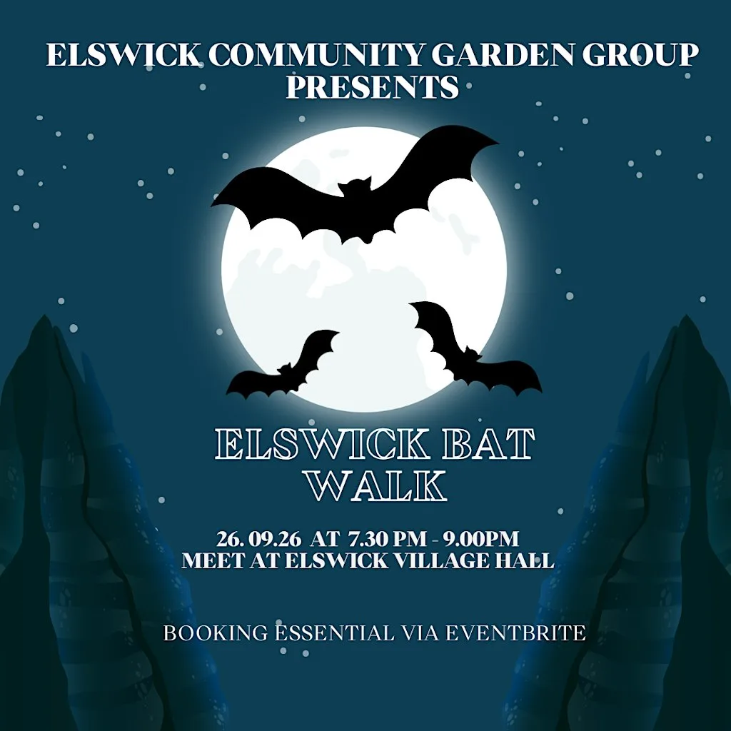 Elswick Bat Walk at Elswick Village hall