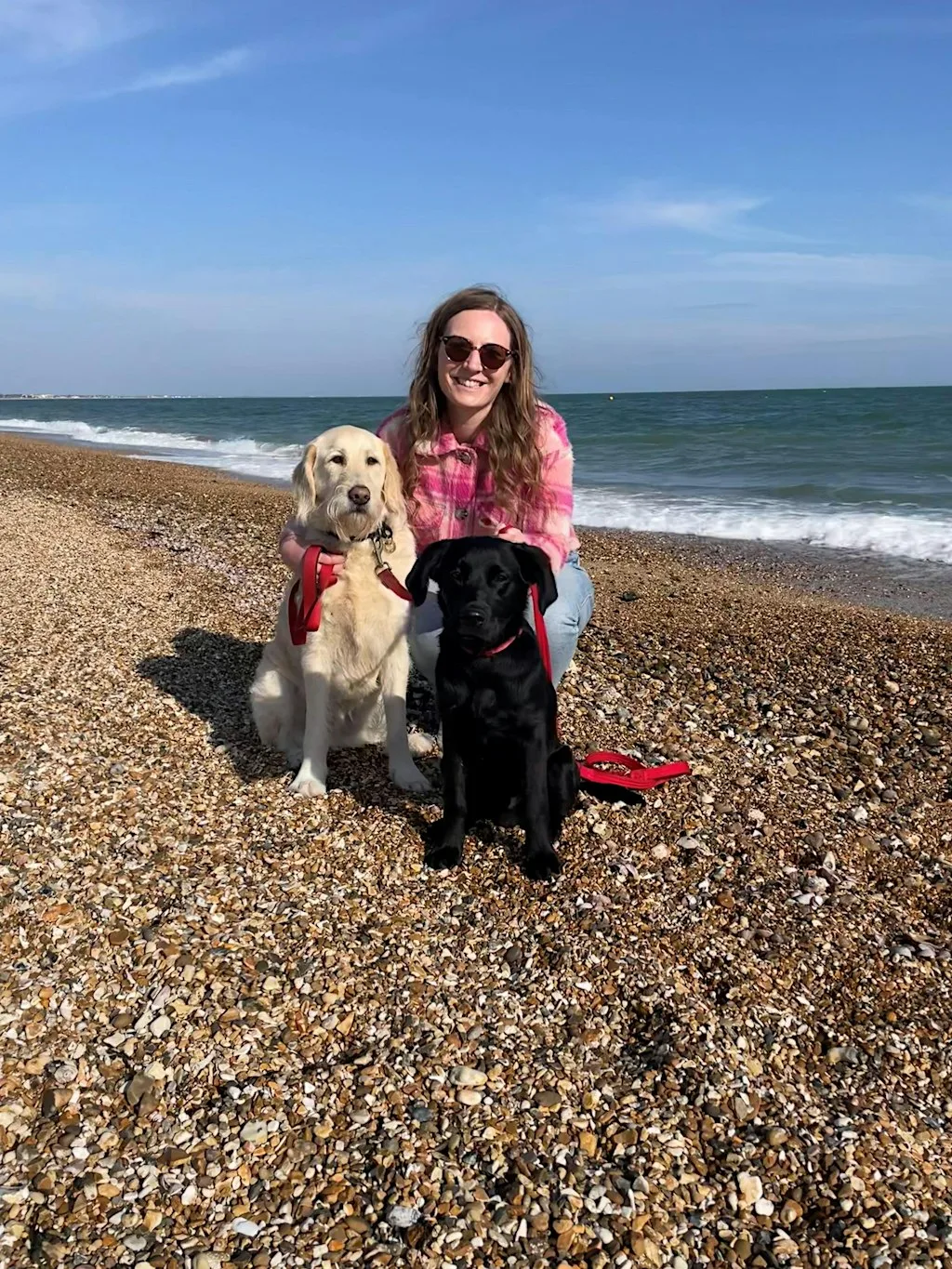 London Marathon Fundraiser for Guide Dogs at D-Day Memorial Hall