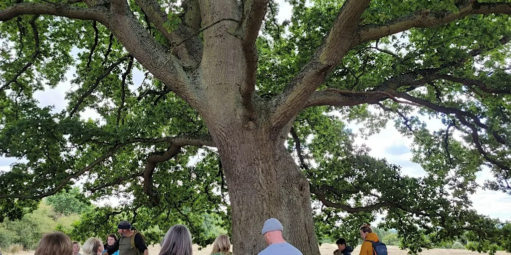 Terrific Trees of Stoke Park at The Vench - Adventure Playground & Community Centre