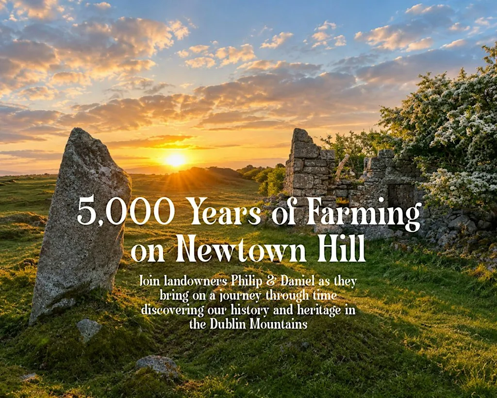 Newtown Hill Archaeology Tour - Dublin Mountain Festival