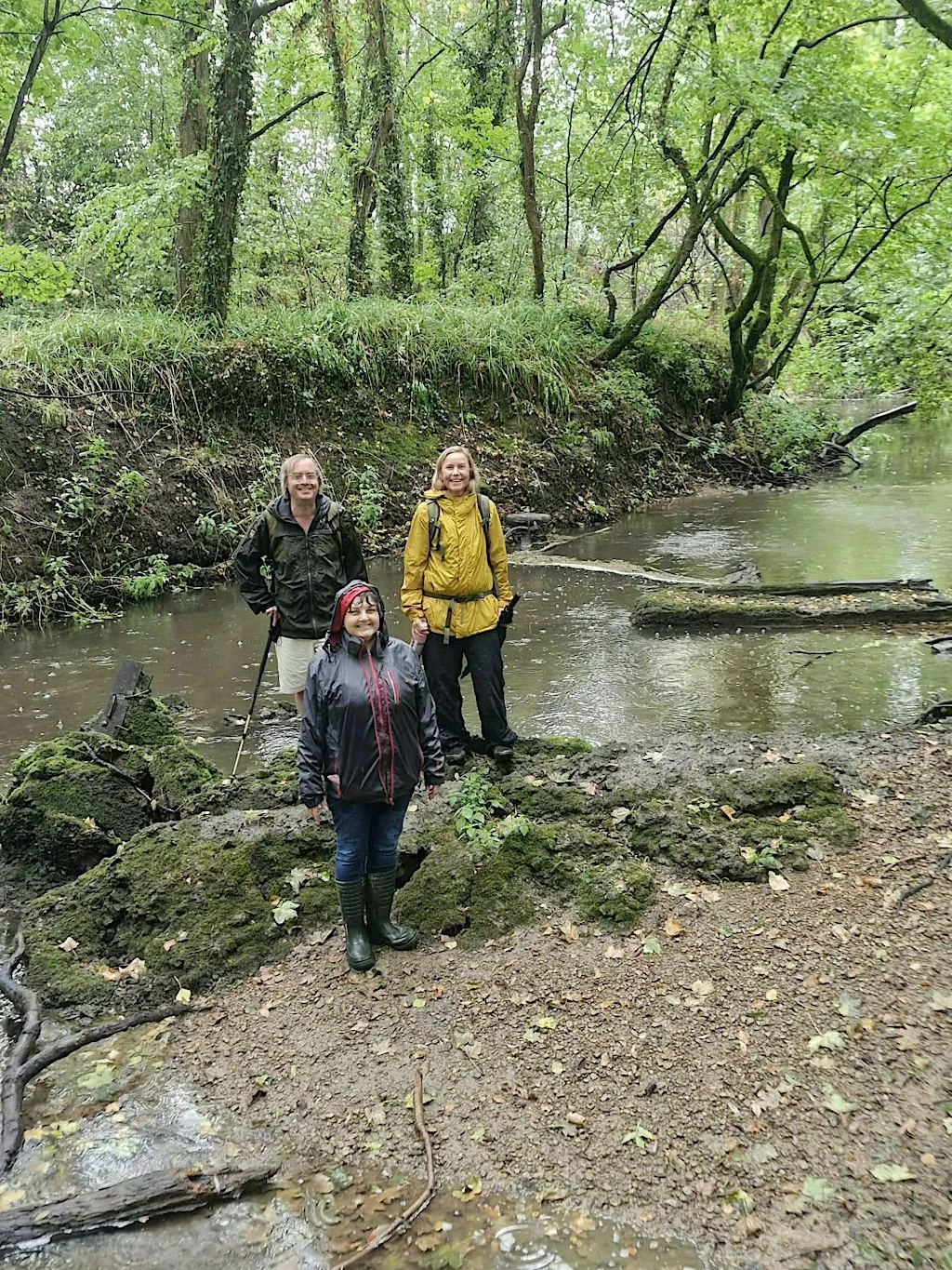 Reflections on "Brue Life" Pilgrimage 2026