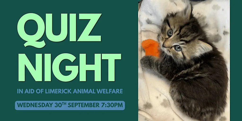 Quiz Night in aid of Limerick Animal Welfare at Sextons Bar