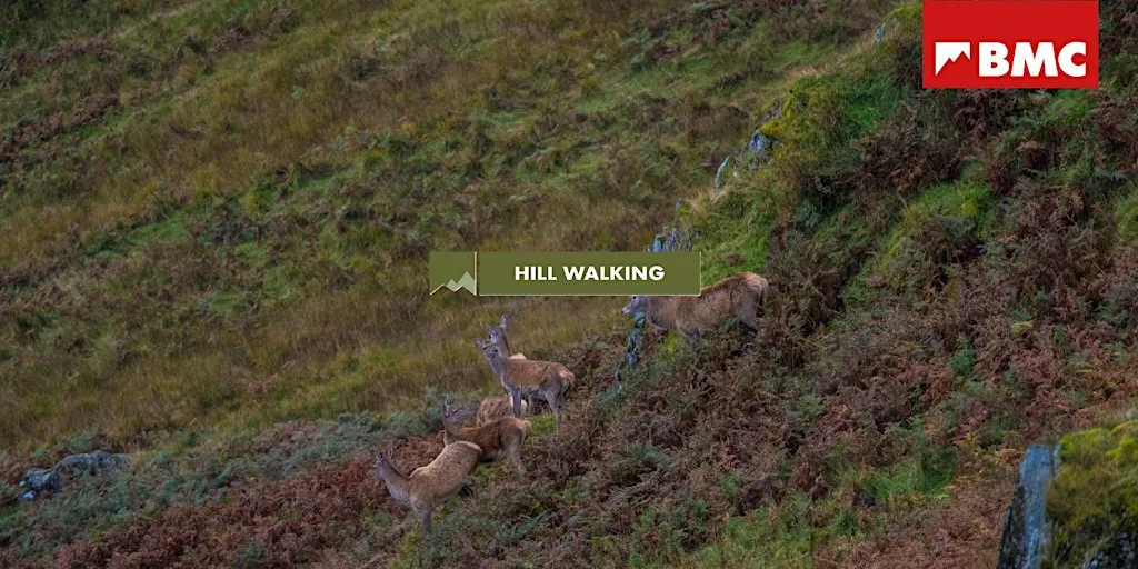 BMC Hill Walking: Red Deer Rutting Special, Peak District