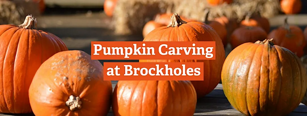 Pumpkin Carving at Brockholes at Brockholes Nature Reserve