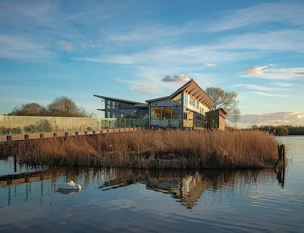 October Sisterhood Social: Autumn Photowalk at Attenborough Nature Reserve at Attenborough Nature Reserve