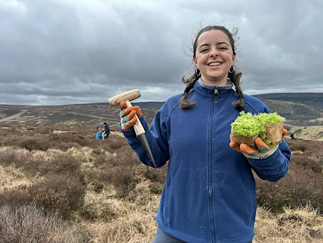 BMC Conservation Event: Moss Planting, Eastern Moors, Peak