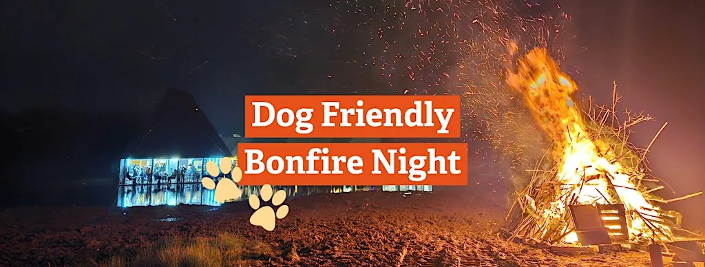 Dog Friendly Bonfire Night at Brockholes at Brockholes