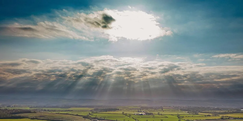 Rainton Meadows: past, present and future showcase