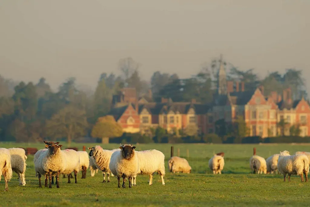 Resilient & Sustainable Retail for farm produce in the Malvern Hills at The Lygon Room