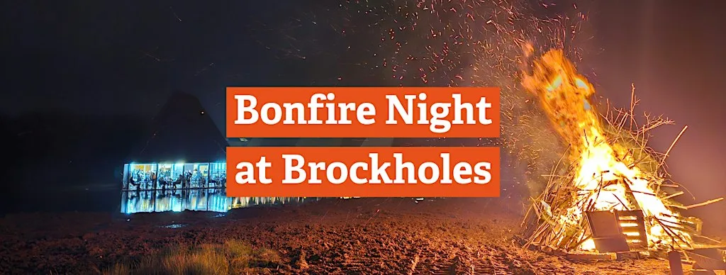 Bonfire Night at Brockholes at Brockholes Nature Reserve