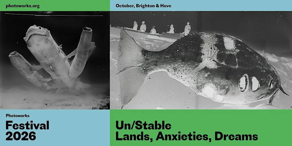 Photoworks Festival: Pseudomorphs and Fighting Fish exhibition opening at The Regency Town House