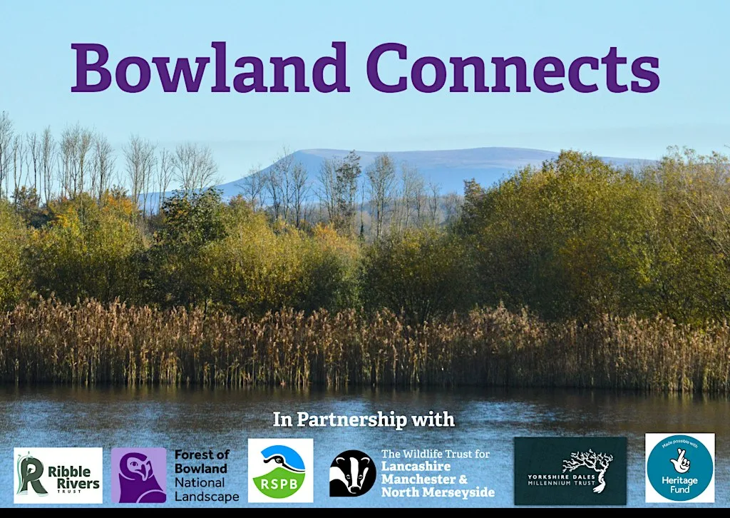 Bowland Walk & Peatland Restoration Visit at Nick of Pendle