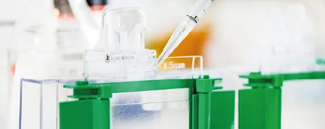 Western Blot Workshop: Accelerate Your Workflows!