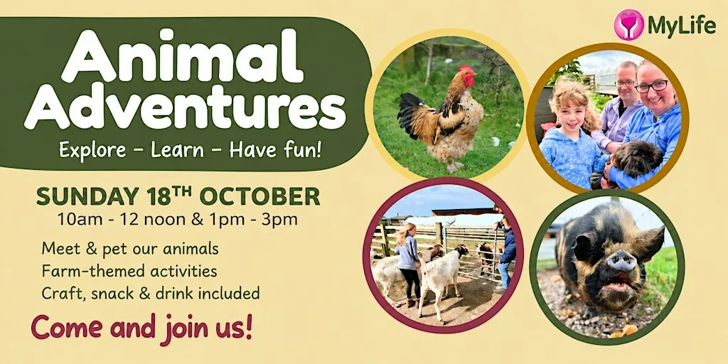 Animal Adventures On The Farm at Thompson House Equestrian Centre