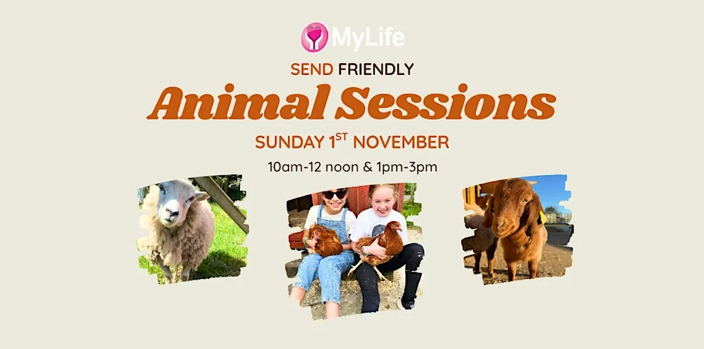 SEND Friendly Animal Sessions at Thompson House Equestrian Centre