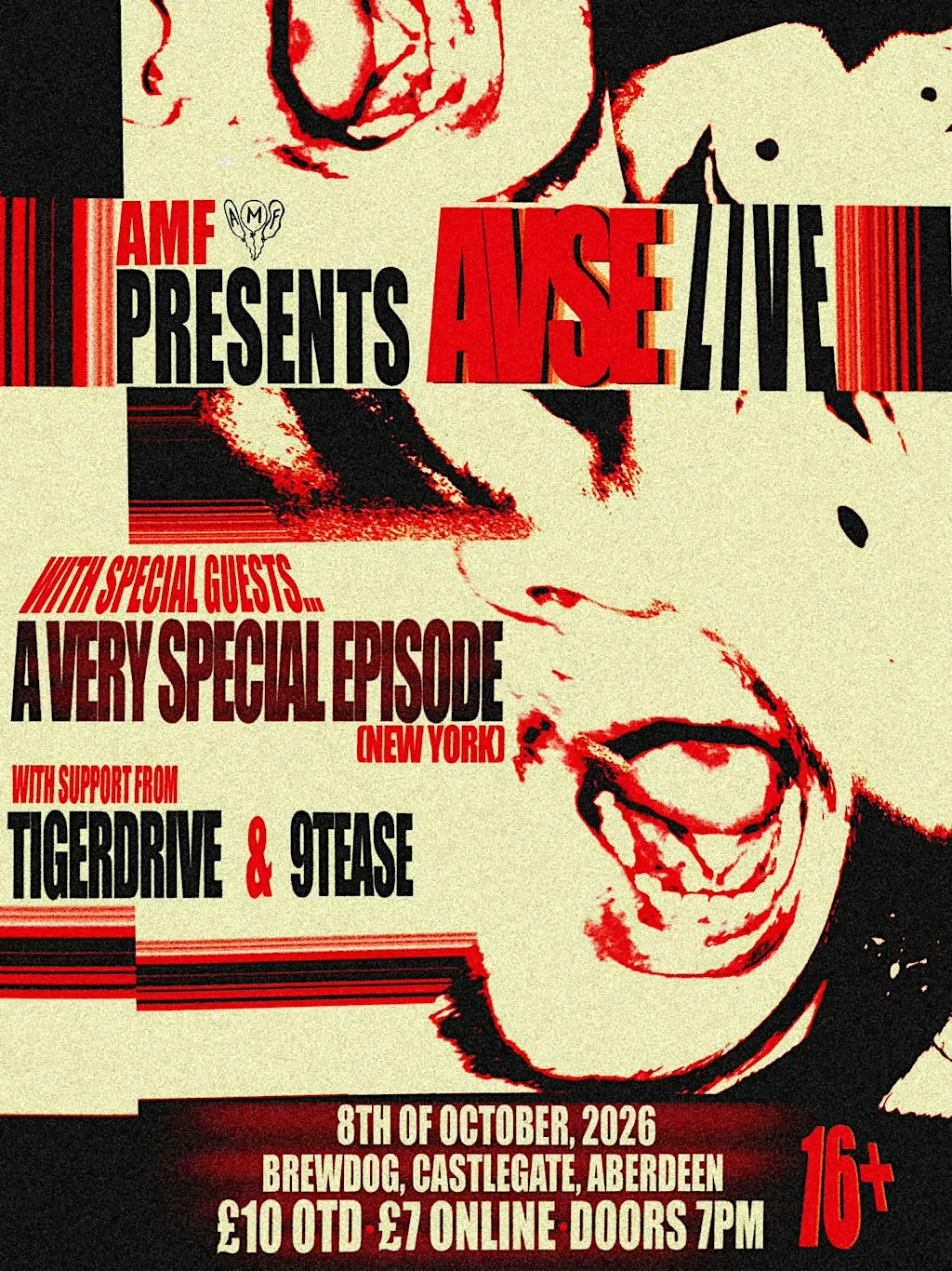 AMFdiy PRESENT: AVSE LIVE!