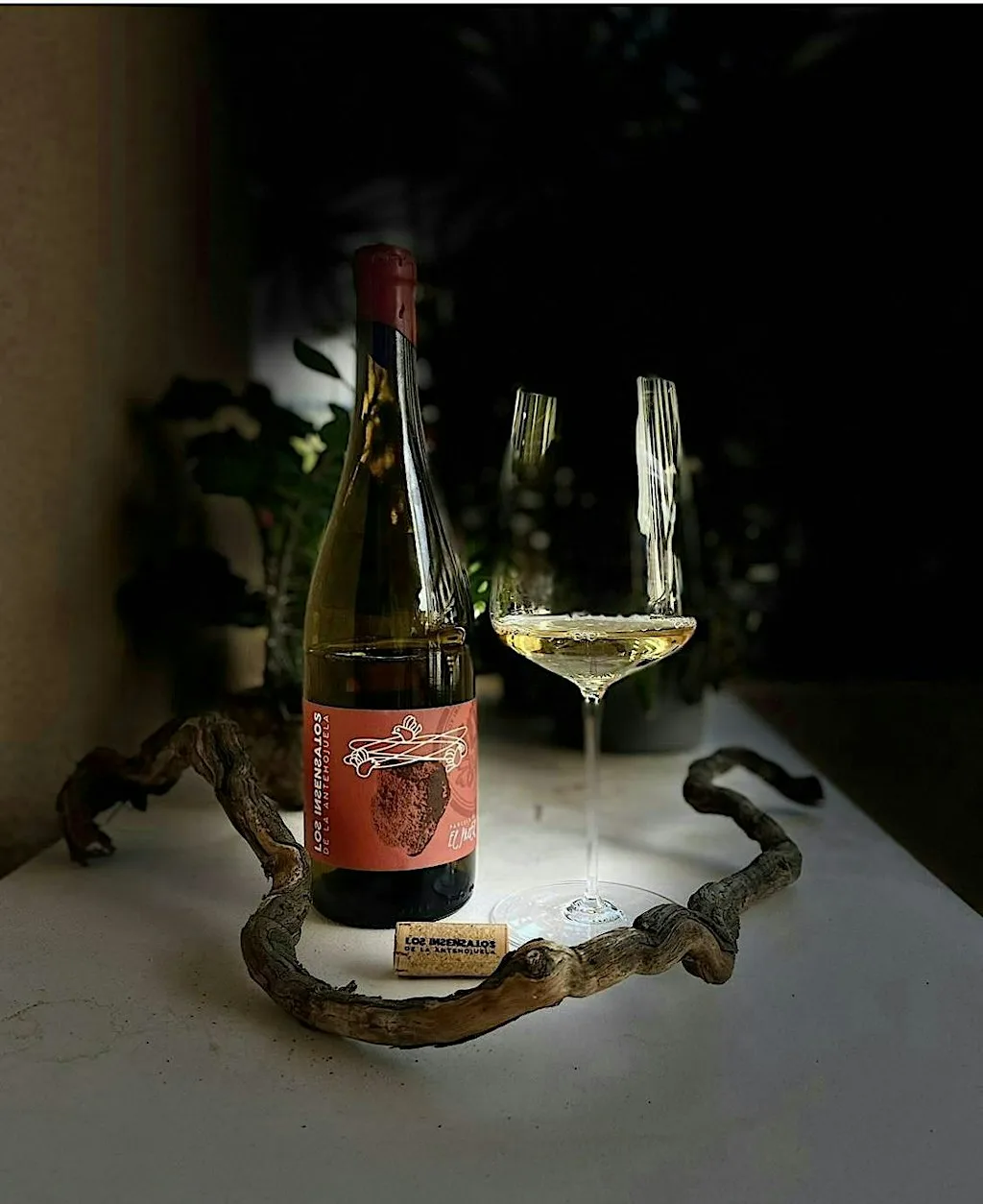 Halloween Special. "Andalucía Beyond Sherry" Wine Tasing at Cathedral Cafe