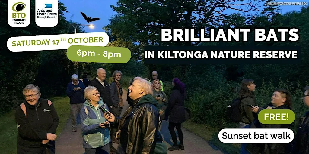 Brilliant Bats at Kiltonga Nature Reserve