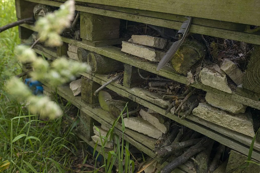 BBP's Habitat Workshop at Birmingham Business Park, Park Management Hub