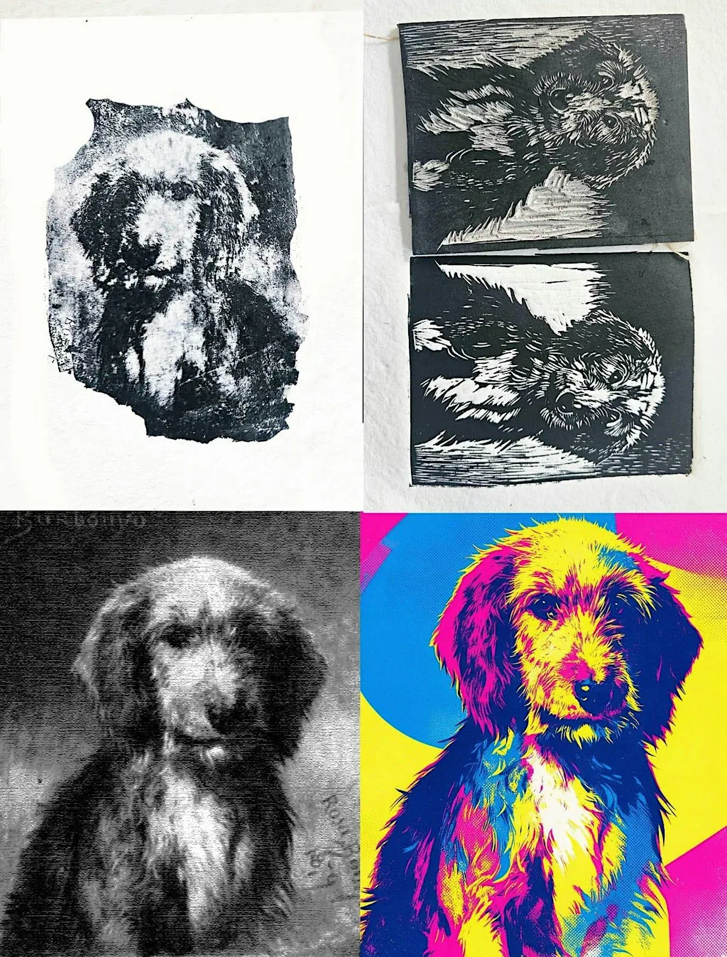 A History of Printmaking with Julia Swarbrick at Blackburn Museum and Art Gallery