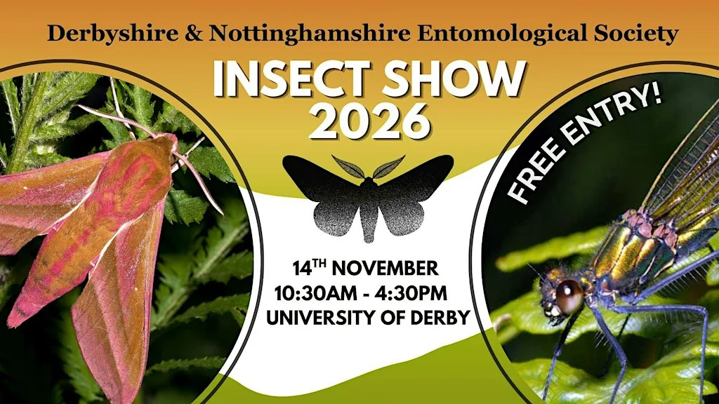 Annual Insect Show 2026 at University of Derby