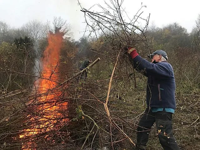 Barrowcroft Scrub Bash