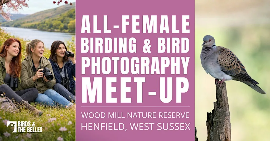 All-Female Birding & Bird Photography at Woods Mill Nature Reserve - Sussex Wildlife Trust