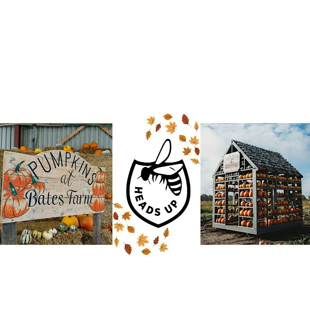 Heads Up Therapies - Ladies at Leisure - Pumpkin Picking at Bates Farm